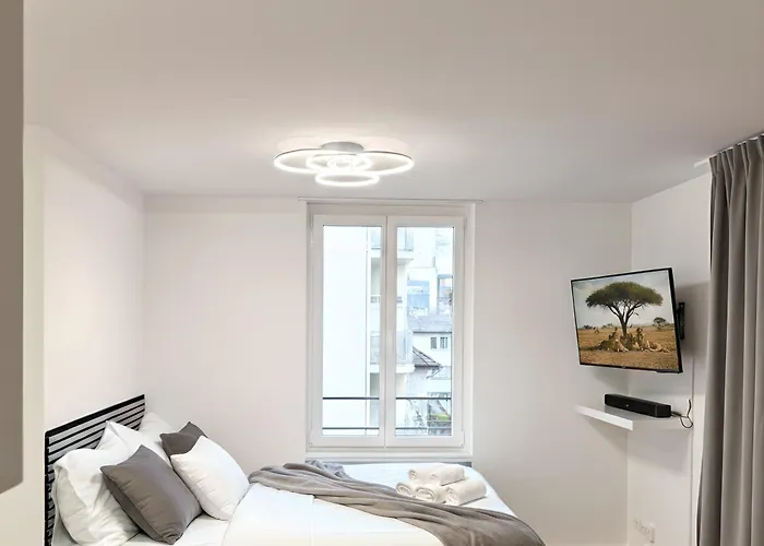 Mcneal Solutions Zentrale Lage Direkt Am Roten Platz * Saint-Gall